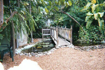 Bridge at Hemingway House, Key West, FL